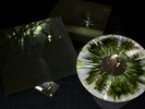 White Ward - Futility Report - tri colour splatter vinyl incl. insert arcturus