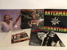 Hans Söllner - Live,Bayerman Vibration,Hey Staat,Endlich eine Arbeit,Wos reimt..