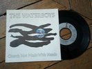 THE WATERBOYS Church not made with hands GERMAN RARE COVER