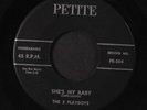 5 PLAYBOYS: she's my baby / mr. echo PETITE 7