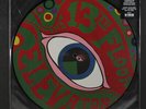 13TH FLOOR ELEVATORS: the psychedelic sounds of the 13th floor elevators 12