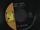 AL WILSON: now i know what love is / do what you gotta do Soul City (2) 7