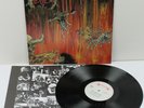 SLAYER Hell Awaits LP vinyl album +inner ORIG 1985 Eur Roadrunner press. playsNM