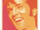 Elvis  The Trouble With Girls  - 14'' x 36'' USA Insert Poster