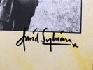 David Sylvian - Brilliant Trees **SIGNED**, 1984 LP V2290 First Pressing - Japan