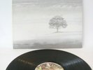 GENESIS - WIND AND WUTHERING  1ST UK PRESS   MINT CONDITION   CHARISMA 1976