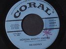 EXOTICS: hotcha mighty knows / the gang that sang heart of my heart CORAL 7