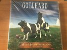 Gotthard - Made in Switzerland – Live in Zürich DLP Limitiert
