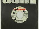 70s Soul 45 - Ronnie Dyson - Lady In Red - Columbia - VG+ mp3