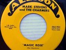 MARK STEVENS Charmers 45 Vanilla Fudge MAGIC ROSE COME BACK TO MY HEART VG+++/M-