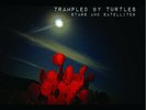 Trampled By Turtles ?- Stars And Satellites LP - Vinyl Album NEW Record + DL