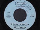 JOY FULLER: penny whistle / h-i-m Protone 7
