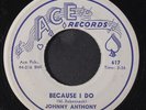 JOHNNY ANTHONY: remember me / because i do ACE 7