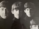 The Beatles With The Beatles Vinyl In Mono
