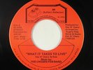 Modern Soul 45 - Chosen Few Band - What It Takes To Live - BR - NM mp3