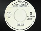 Northern Soul 45 - Robert Walker & Soul Strings - Stick To Me - RCA Victor - mp3