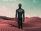 Like Moths To Flames-Dark Divine (UK IMPORT) VINYL NEW