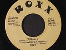 ROXX: dreamer / roll on ROXX 7