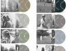 Taylor Swift Folklore Complete Colour Set Vinyl 8x LP Limited Sealed Exclusive