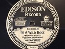 Zoellner String Quartet – Edison DD 80600: MACDOWELL To a Wild Rose/HAYDN Adagio