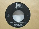 The Leaves-Hey Joe, Where You Gonna Go?/Be With You-Garage-7