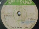 1976 RARE ROOTS REGGAE - CRUESHAL DUB - Orig EARTHQUAKE LP - Soundclip