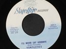 VONTASTICS: i'll never say goodbye / don't mess around Satellite Records (2) 7