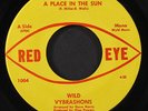 WILD VYBRASHONS: a place in the sun / one track mind RED EYE  7