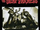 The Beat Farmers Live at Spring Valley Inn black friday RSD limited 2 LP
