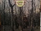 Gay and Terry Woods Backwoods Polydor 2383 322 VG+/VG+ RARE 1975