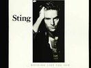 VINYL LP Sting Nothing Like The Sun 2LP Quiex II audiophile virgin vin 1st PR nm