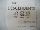 Descendents, Ride The Wild, It's A Hectic World 7” Vinyl, Rare Punk