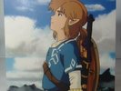 NEW The Legend of Zelda - Breath of the Wild Vinyl