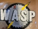 WASP F  K LIKE A BEAST.cut out shape 7