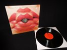 ACHIM REICHEL - DIE GRÜNE REISE - ORIG.1ST. PRESS.1971 POLYDOR 2371128 KRAUTROCK