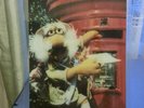 Fraggle Rock - THE FRAGGLES  - All around the  (SHAPED DISC NEW) Henson Kongos