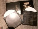 LP Broilers Vanitas / Original First Press  Doppel LP / weißes Vinyl/2007/