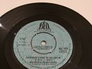 BOB BRADY & THE CON CHORDS 