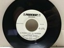 John Paul Jones - Foggy Day In Vietnam / Baja - PARKWAY RECORDS P-915 - PROMO