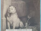 Pavlov's Dog ?– Pampered Menial *DEMO* *Not For Sale* *Collectors Item*  Vinyl