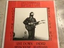 VERY RARE LED ZEPPELIN vinyl record Count Me Out When It’s Hot #109/200 Import