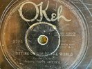 Okeh 8784 Mississippi Sheiks SITTING ON TOP OF WORLD 78 rpm 1929 Delta Blues G+