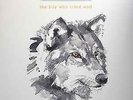 PASSENGER - THE BOY WHO CRIED WOLF - VINYL LP Mint Condition