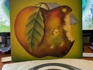 CATAPILLA  LP UK 1ST PRESSING 1971 VERTIGO SWIRL EX+/EX+/EX+++