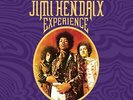 Jimi Hendrix - The Jimi Hendrix Experience (8-LP Vinyl Box Set) - (Vinyl)