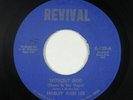 Deep Soul Gospel 45 - Shirley Ann Lee - Without God - Revival - mp3