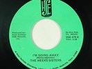 Soul Funk Gospel 45 - Weeks Sisters - I'm Going Away - HSE - mp3