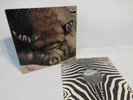 KIN PING MEH - NO 2 - ORIGINAL ZEBRA FIRST PRESS.1972 GERMAN KRAUTROCK LP