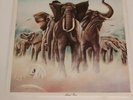 Elvis Costello And The Attractions* ?– Armed Forces UK LP VINYL + POSTCARDS