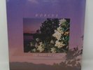 Korine - The Night We Raise  Vinyl LP,  BORN LOSERS New Sealed